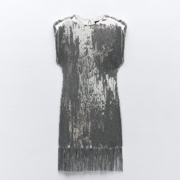 Fringed sequin mini dress - Picture 1 of 1